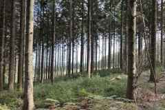 BSG-Eifel-weekend-28_29-sept24_401