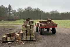 BSG-Nieuwjaars-weekend-Lage-Vuursche-jan-20255601