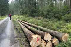 BSG-wandeling-Monschau-sept-2025_111