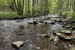 BSG-wandeling-Monschau-sept-2025_181