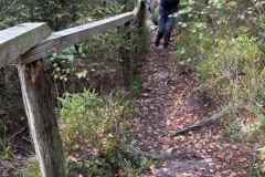 BSG-wandeling-Monschau-sept-2025_51