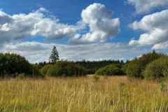 BSG-wandeling-Monschau-sept-2025_661