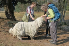 BSG wandeling Leersum 2019_12