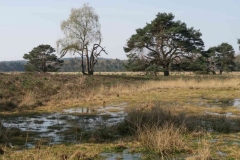 BSG wandeling Leersum 2019_13