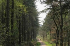 BSG wandeling Leersum 2019_23