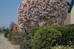 BSG wandeling Leersum 2019_24