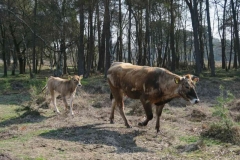 BSG wandeling Leersum 2019_6