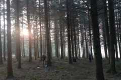 PHOTO-2026-04-02-22-19-15_3