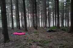 PHOTO-2026-04-02-22-19-17_1