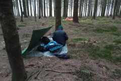 PHOTO-2026-04-02-22-19-17_2