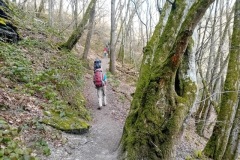 PHOTO-2026-04-02-22-19-18_2