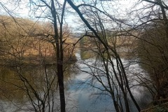 PHOTO-2026-04-02-22-19-18_3