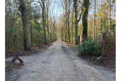 BSG-wandeling-BopZoom-feb-2026_01