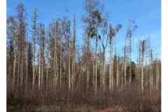 BSG-wandeling-BopZoom-feb-2026_027