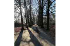 BSG-wandeling-BopZoom-feb-2026_03