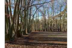 BSG-wandeling-BopZoom-feb-2026_05