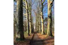 BSG-wandeling-BopZoom-feb-2026_08