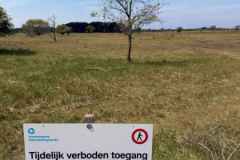 BSG-Zandvoort-meil-2026_026