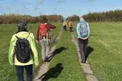 BSG-wandeling-Bentwoud_Niek_nov-2025_13