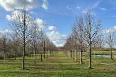 BSG-wandeling-Bentwoud_Niek_nov-2025_17