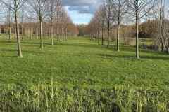 BSG-wandeling-Bentwoud_Niek_nov-2025_22