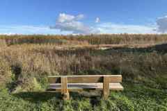 BSG-wandeling-Bentwoud_Niek_nov-2025_25