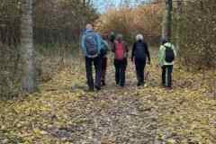 BSG-wandeling-Bentwoud_Niek_nov-2025_26
