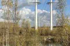 BSG-wandeling-Bentwoud_Niek_nov-2025_5