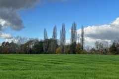 BSG-wandeling-Boxtel-17nov24_010