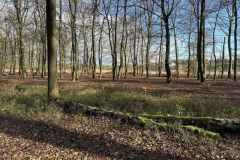 BSG-wandeling-Boxtel-17nov24_016