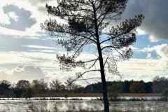 BSG-wandeling-Boxtel-17nov24_017