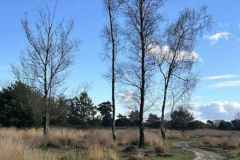 BSG-wandeling-Boxtel-17nov24_018