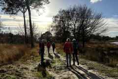 BSG-wandeling-Boxtel-17nov24_026