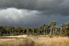 BSG-wandeling-Boxtel-17nov24_027