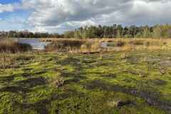 BSG-wandeling-Boxtel-17nov24_028