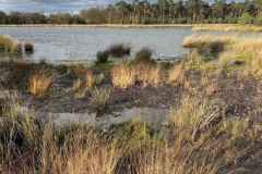 BSG-wandeling-Boxtel-17nov24_029