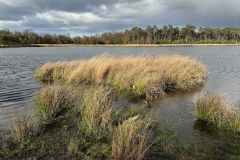 BSG-wandeling-Boxtel-17nov24_030