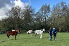 BSG-wandeling-Boxtel-17nov24_04