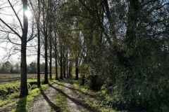 BSG-wandeling-Boxtel-17nov24_07