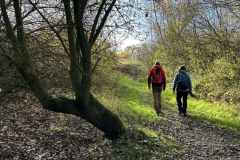 BSG-wandeling-Boxtel-17nov24_08