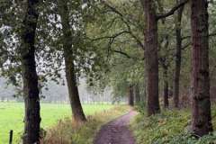 BSG-Kalmhoutse-Heide-13-sept-2026_019