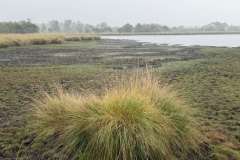 BSG-Kalmhoutse-Heide-13-sept-2026_027