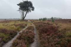 BSG-Kalmhoutse-Heide-13-sept-2026_032