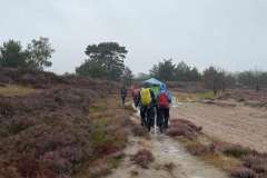 BSG-Kalmhoutse-Heide-13-sept-2026_034