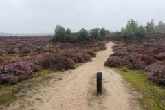 BSG-Kalmhoutse-Heide-13-sept-2026_037