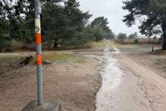 BSG-Kalmhoutse-Heide-13-sept-2026_046