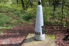 BSG-Kalmhoutse-Heide-13-sept-2026_059