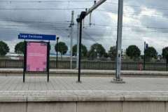 BSG-Kalmhoutse-Heide-13-sept-2026_075_bew1