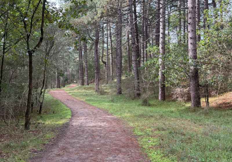 BSG-Kennemerduinen-11-okt-2026_011