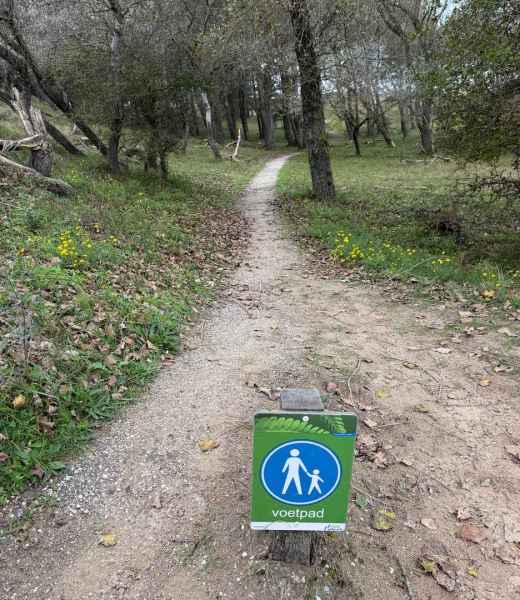 BSG-Kennemerduinen-11-okt-2026_016